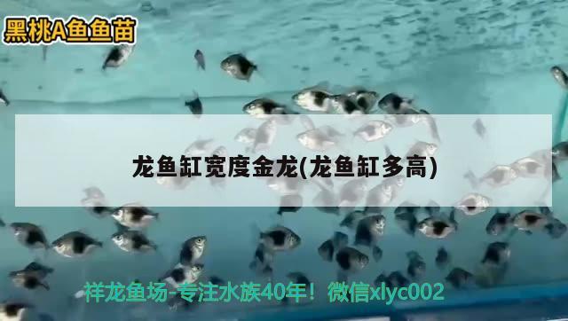 宿州市水澳观赏鱼养殖有限公司地址电话：宿州海洋水族馆