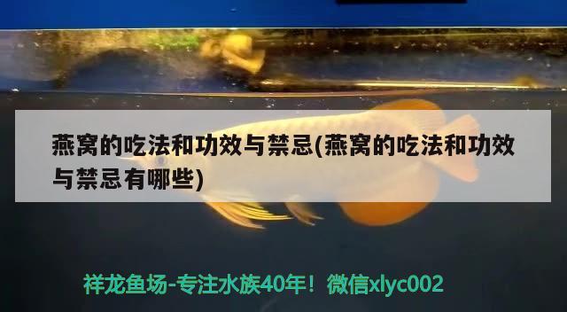 惠州哪里有卖鱼缸的市场啊多少钱：惠州鱼缸厂 观赏鱼市场 第2张