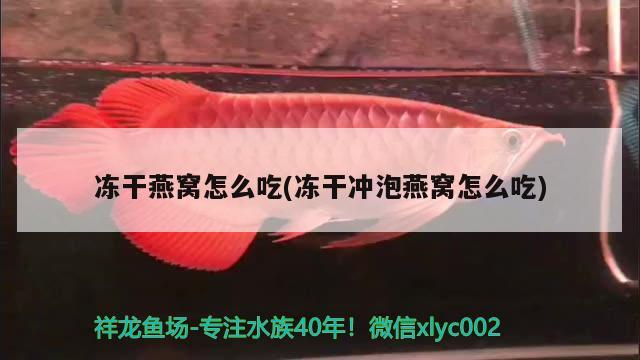 西宁二手鱼缸低价出售信息：西宁二手闲置物品交易网 广州水族批发市场 第3张