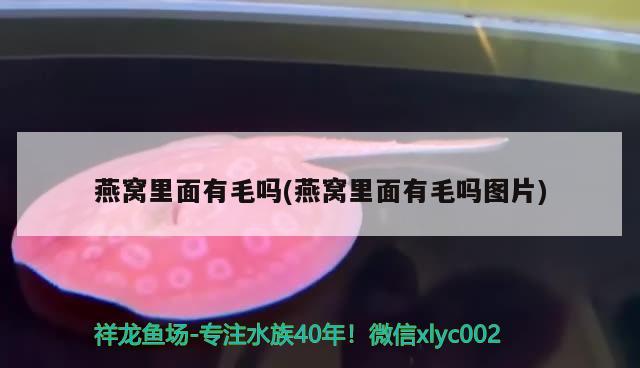 西宁二手鱼缸低价出售信息：西宁二手闲置物品交易网 广州水族批发市场 第2张