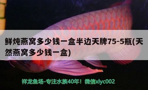 辽阳观赏鱼市场快50厘米啦 观赏鱼市场（混养鱼） 第3张