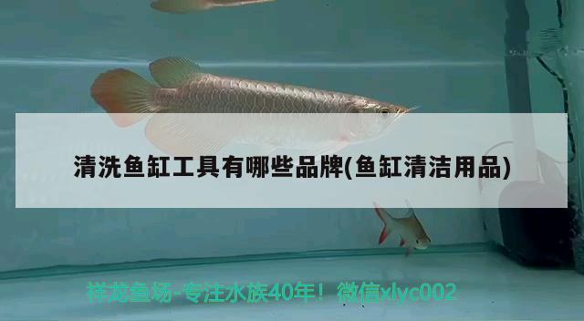 亚克力鱼缸好还是玻璃好呢：亚克力鱼缸和玻璃鱼缸哪个更耐用 广州水族批发市场 第1张