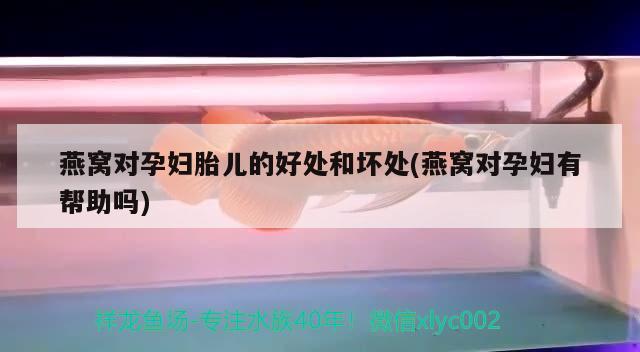 2023年广州水族展会时间表及地址（2020年广州水族展会）