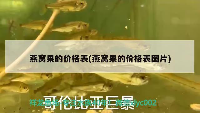金华观赏鱼批发市场在哪里，广州的鱼市场在哪里进行解释，金华观赏鱼市 观赏鱼批发 第2张