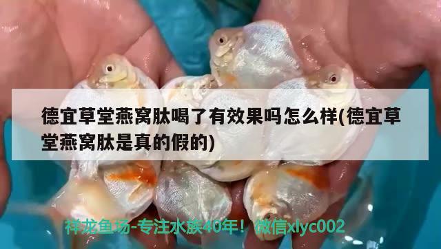 苏州鱼缸回收电话地址在哪里啊：杭州定做烤漆鱼缸哪家做的好