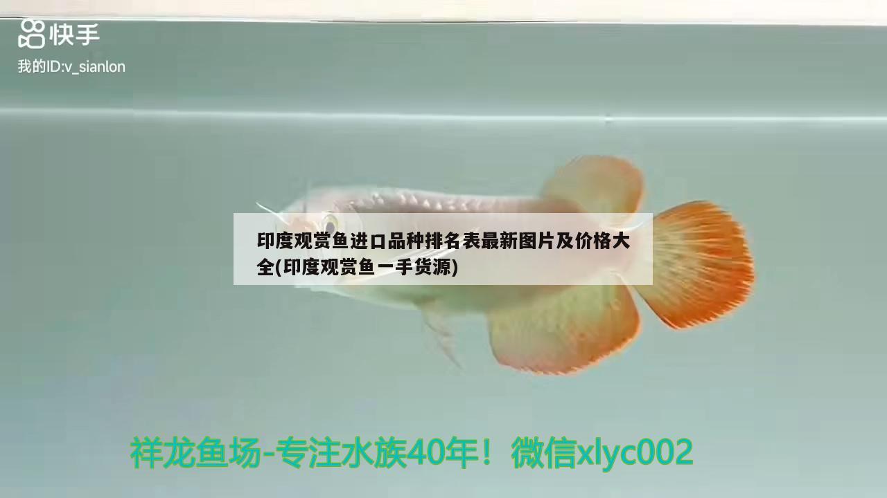 预防鱼缸长褐藻病的方法，怎么预防鱼缸长褐藻病