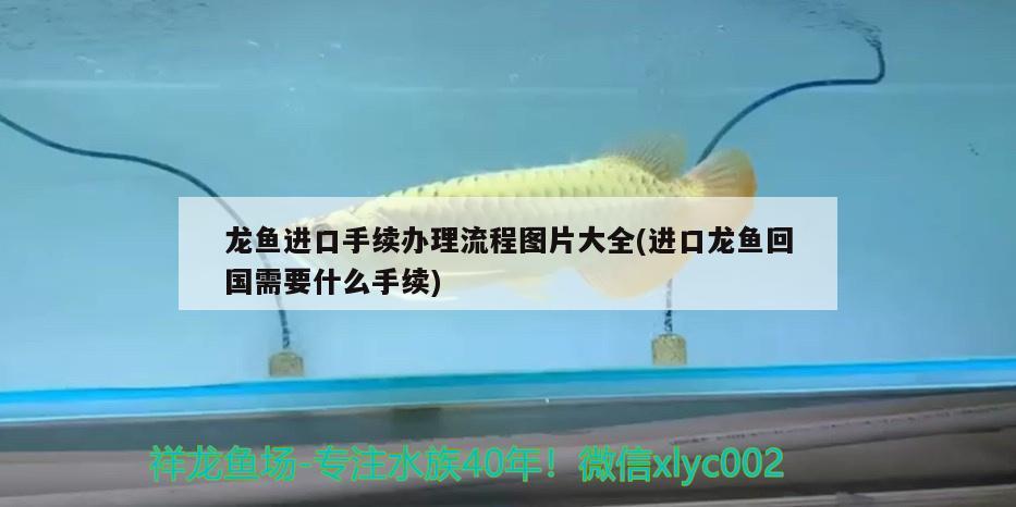 北京二手鱼缸转让出售电话号码鱼缸转让出售电话号码，北京二手鱼缸转让出售电话