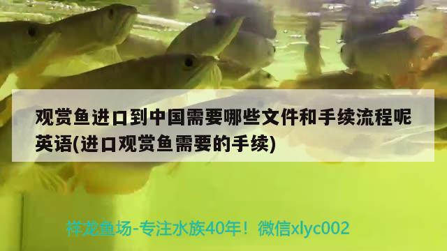 塑料鱼缸批发市场多少钱一个新款的 塑料金鱼缸批发 帝王迷宫