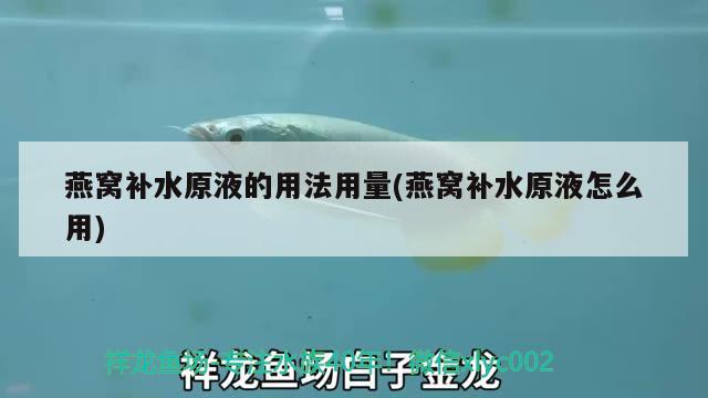 湛江水族馆求助七彩最近两天没有原来吃的那么凶了