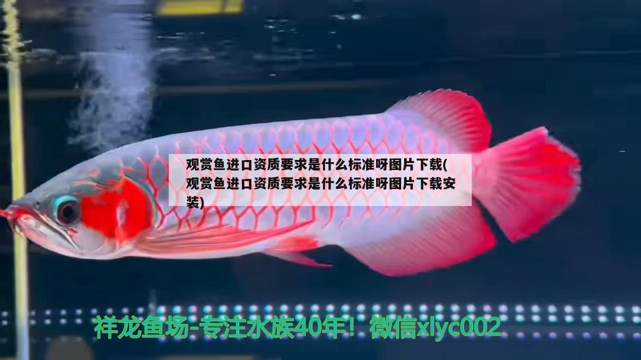 湖北襄樊七叶一枝花哪里有卖，樊城哪里有卖小金鱼