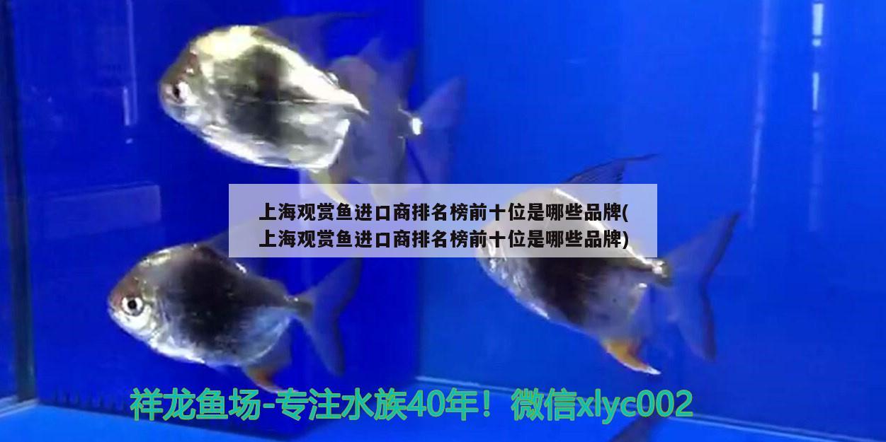 大同水族馆 观赏鱼企业目录 第1张