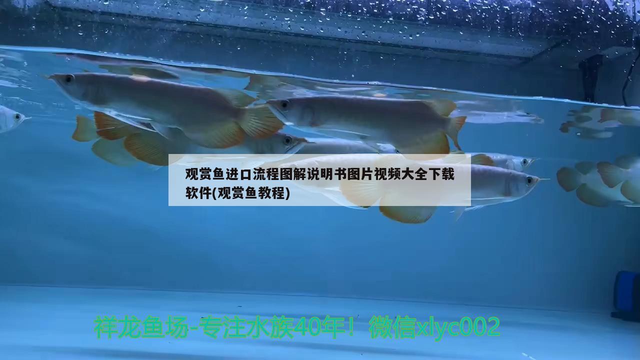 鱼缸增氧机使用方法图解 鱼缸增氧机使用方法图解视频