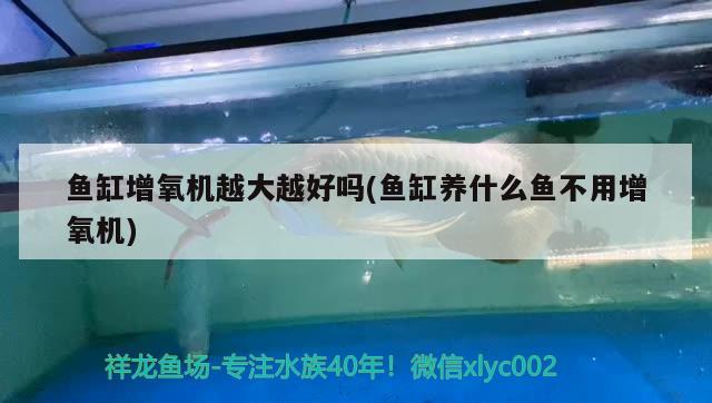 九台区卡伦兴龙渔具店 全国水族馆企业名录 第4张