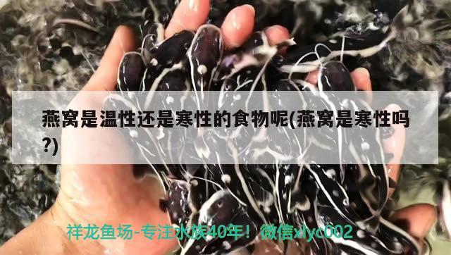 九台区卡伦兴龙渔具店 全国水族馆企业名录 第3张