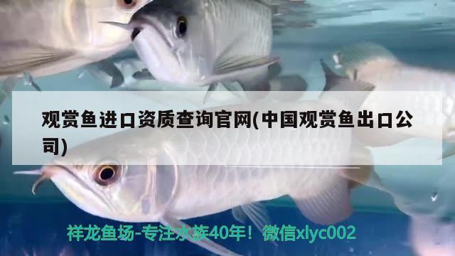 观赏鱼进口资质查询官网(中国观赏鱼出口公司)