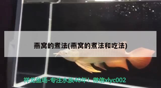 连云港观赏鱼市场红蝴蝶