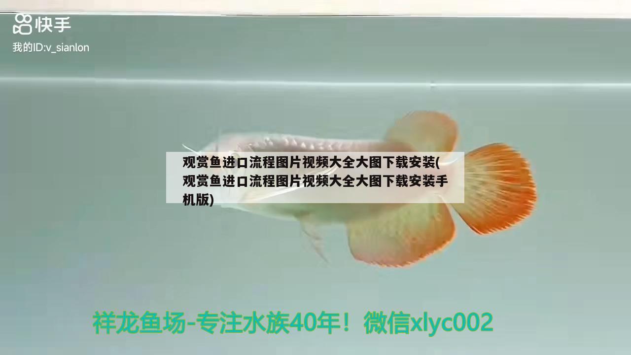 鱼缸绿斑藻清除方法（鱼缸绿斑藻清除方法图解） 其他品牌鱼缸 第3张