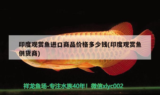 广州水族馆这个阶段是要多久会红？