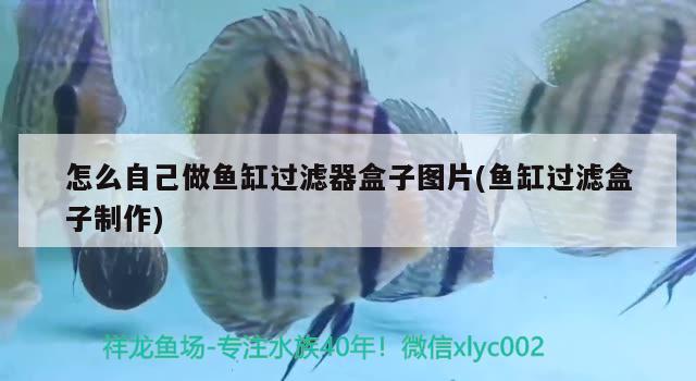 广州水族馆这个阶段是要多久会红？