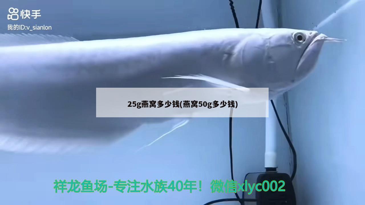 你真幸福 广州水族器材滤材批发市场 第2张