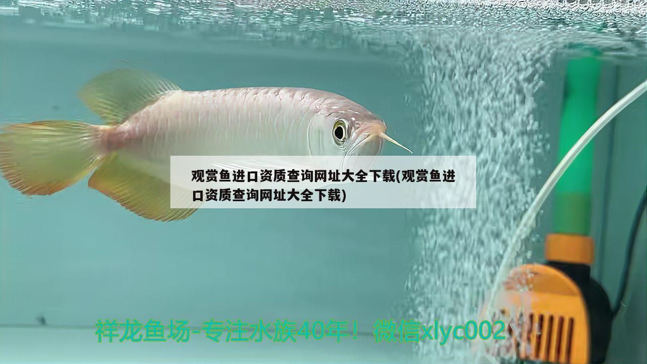 深圳金龙鱼公司电话：金龙鱼深圳分公司