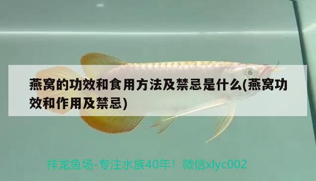 北京神龙飞观赏鱼店 全国水族馆企业名录 第1张