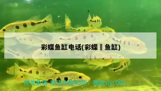 太原水族馆 观赏鱼企业目录 第2张