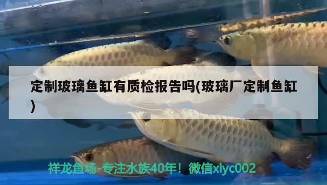 广州付飘贸易店 全国水族馆企业名录 第2张