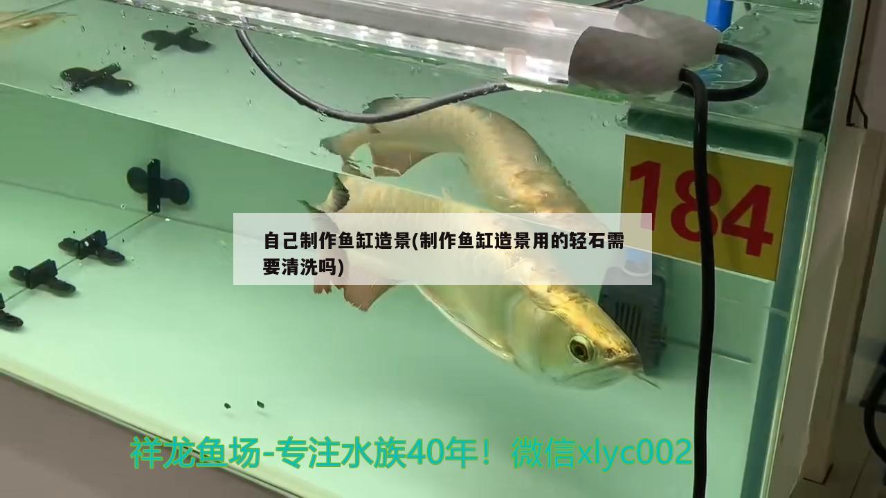 赤峰观赏鱼市场黑龙江宝泉岭农垦程程鲜花观赏鱼店
