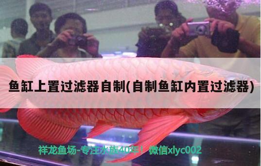 鱼缸上置过滤器自制(自制鱼缸内置过滤器) 广州祥龙国际水族贸易