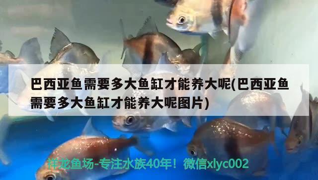 吴桥县桑园镇杨名渔具店 全国水族馆企业名录 第1张