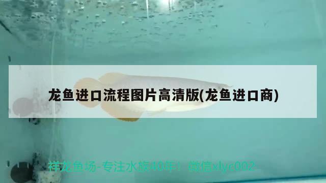 德宏傣族景颇族自治州龙鱼:能吃的龙鱼是什么样 观赏鱼企业目录 第3张