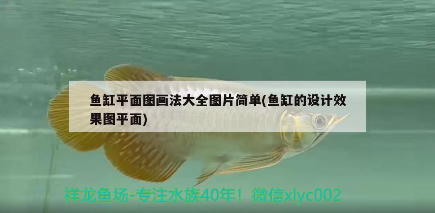扬州鱼缸水循环系统维修电话号码：扬州鱼缸水循环系统维修电话号码多少