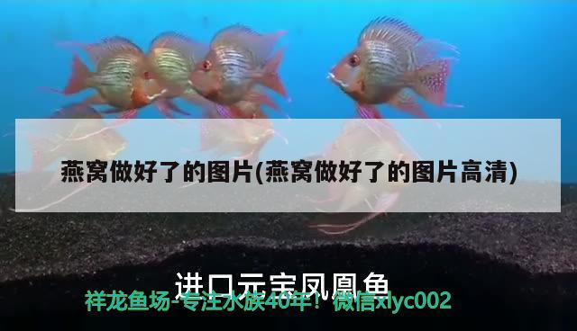 兰州鱼缸造景培训学校地址在哪里：兰州鱼缸造景培训学校地址在哪里啊 广州水族批发市场 第3张