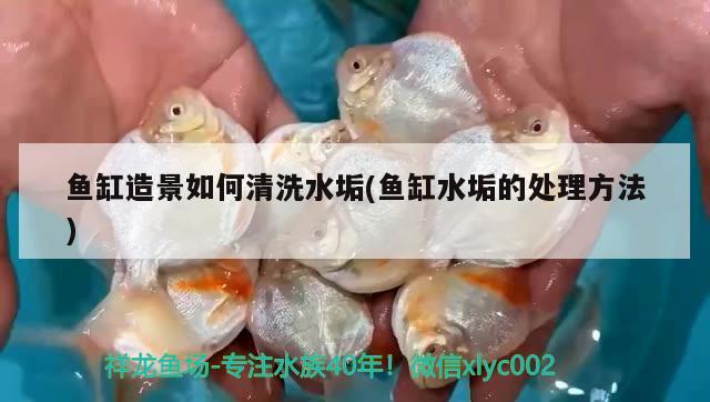吕梁市离石区红龙鱼店 全国水族馆企业名录 第1张