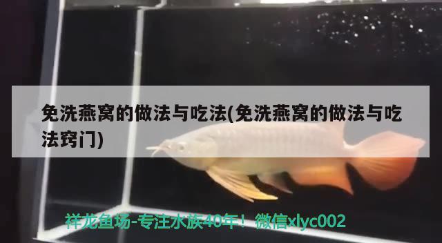 鱼缸怎么预防蛋白虫生病（斗鱼苗缸里的蛋白虫怎么清理） 广州水族批发市场 第2张