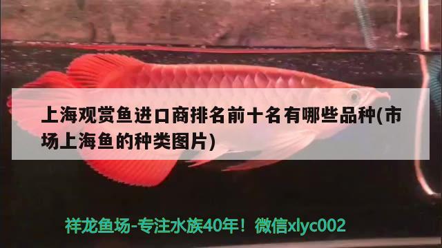 广东沃得光电科技有限公司 观赏鱼企业目录 第3张