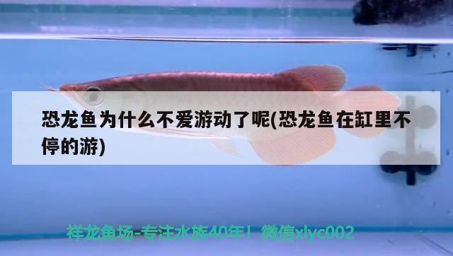 广东沃得光电科技有限公司 观赏鱼企业目录 第2张