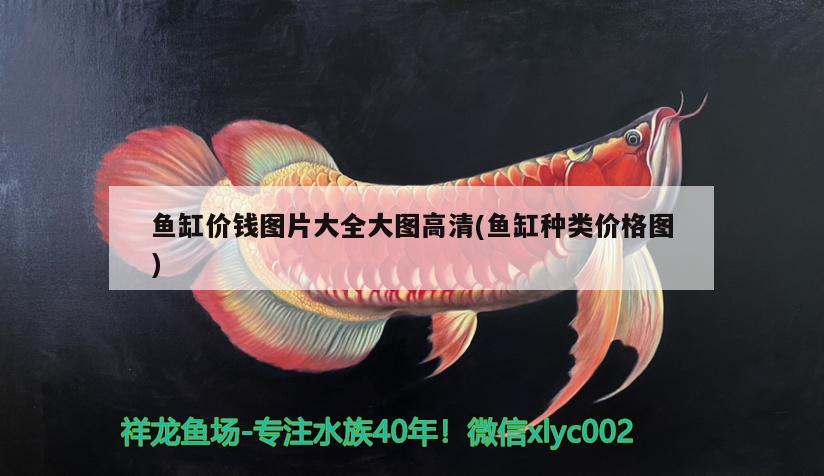 鱼缸养鱼放小苏打作用：鱼缸放小苏打还是大苏打 广州水族批发市场 第2张