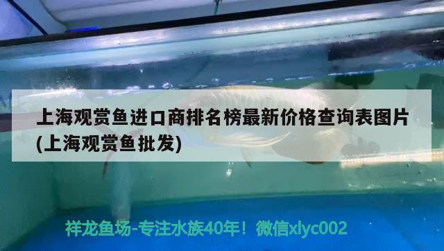 上海观赏鱼进口商排名榜最新价格查询表图片(上海观赏鱼批发) 观赏鱼进出口