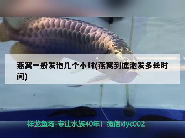 徐州定制鱼缸价格多少钱一个：徐州修鱼缸的电话 广州水族批发市场 第2张