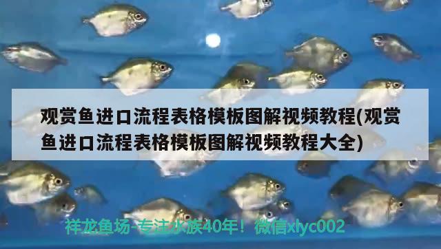 徐州定制鱼缸价格多少钱一个：徐州修鱼缸的电话 广州水族批发市场 第1张