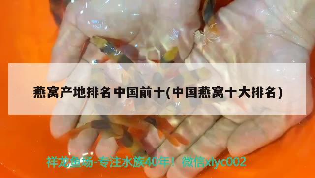 湛江鱼缸修理电话号码多少号（鱼怎样做好吃） 赛级红龙鱼 第1张
