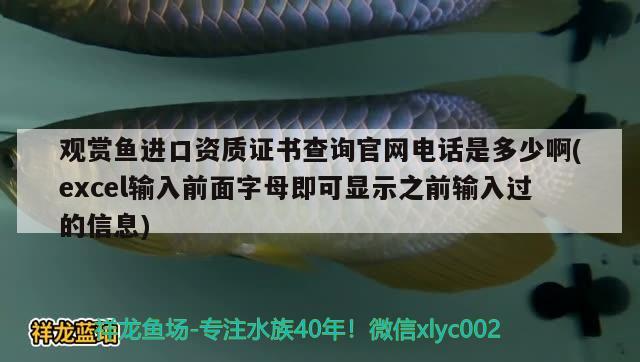 北京做鱼缸的厂家有哪些地址（北京做鱼缸的厂家有哪些地址和电话） 银龙鱼苗 第1张