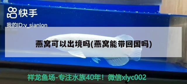 日本进口鱼缸杀菌剂有哪些(日本品牌鱼缸) 绿皮皇冠豹鱼 第1张