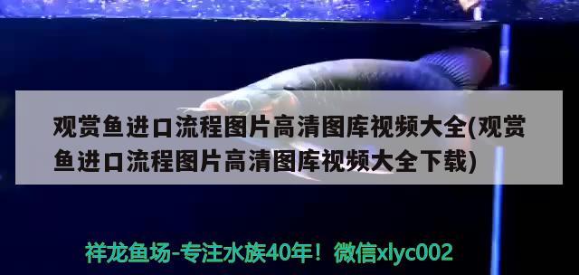江苏徐州定制鱼缸哪家最好，苏州鱼缸定做哪家更专业一些