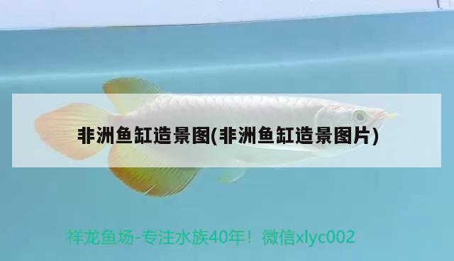 北京个人二手鱼缸转让58同城信息电话（北京个人二手鱼缸转让58同城信息电话号码）