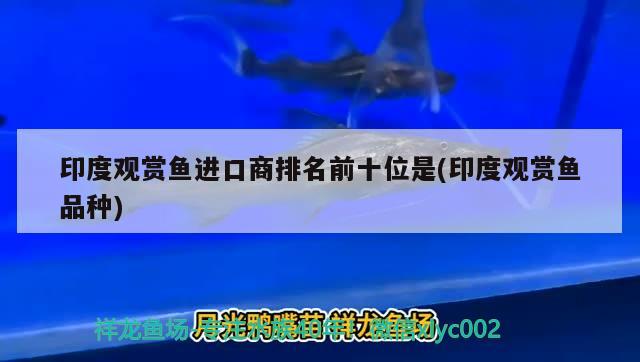 广州水族馆恢复正常状态