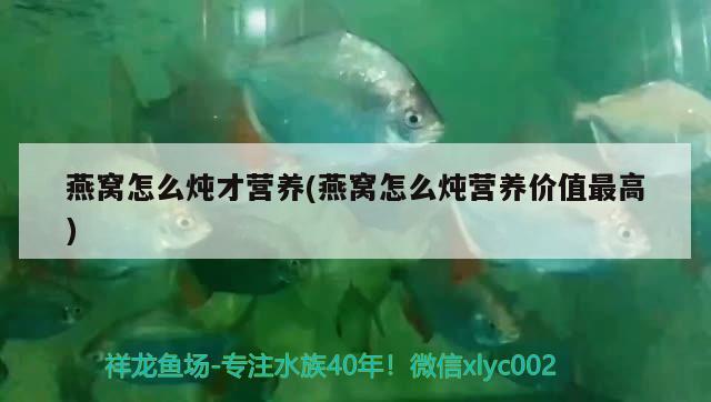 朝阳水族馆 观赏鱼企业目录 第1张