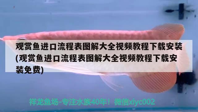 哈尔滨鱼缸厂家排名前十的有哪些（哈尔滨极地馆的海水从哪来） 鹦鹉鱼 第2张